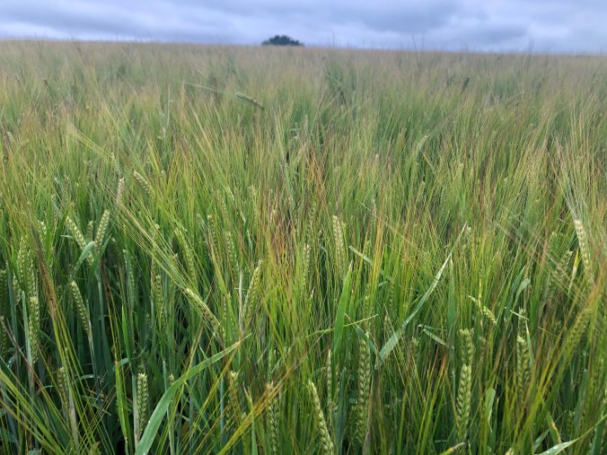 8XzPpzpBR3isxsInaZUpeg